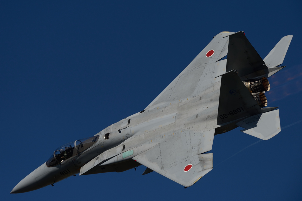 岐阜基地航空祭2015　F-15