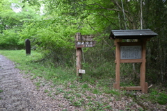 中山道（大湫宿ー大井宿）