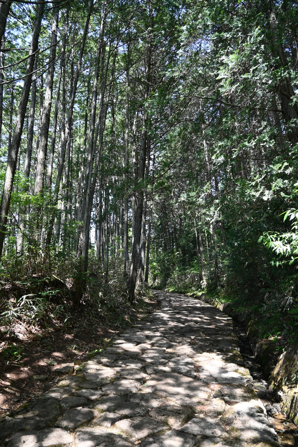 中山道（落合宿ー馬籠宿）