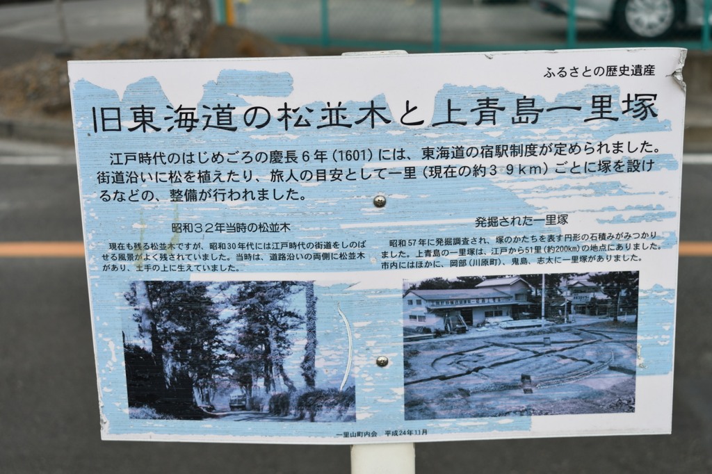 島田宿ー藤枝宿　松並木