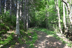 中山道（大湫宿ー大井宿）