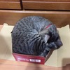 リッキーちゃん