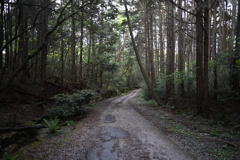 中山道（大湫宿ー大井宿）