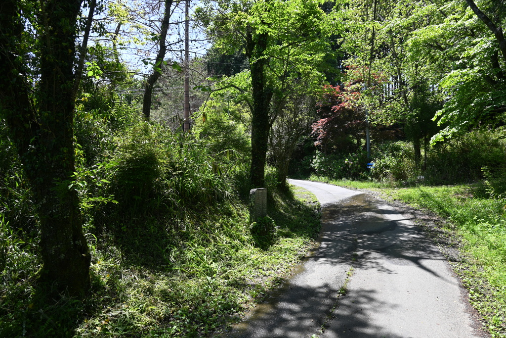 中山道（御嶽宿ー細久手宿）
