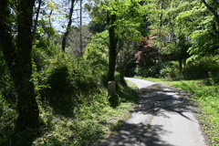 中山道（御嶽宿ー細久手宿）