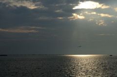 DSC_2234