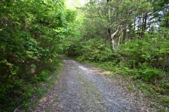 中山道（大湫宿ー大井宿）