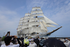 海王丸（御前崎港）