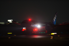 B787  Night Landing