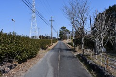 小夜の中山