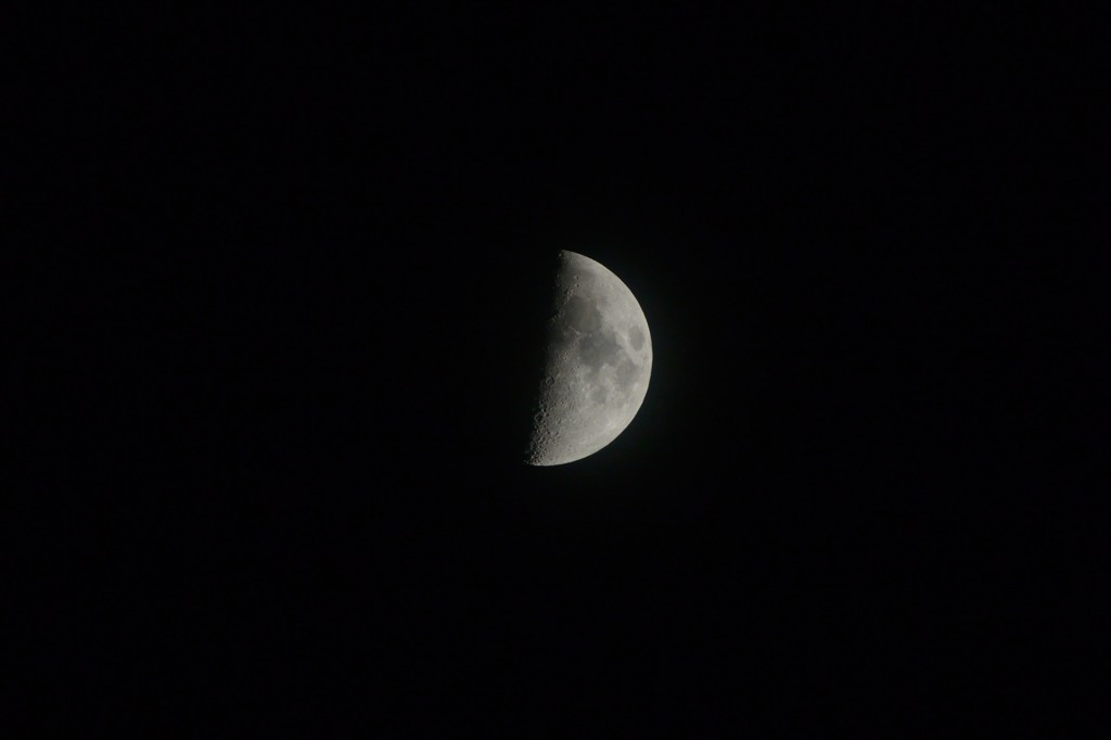 DSC_4948_01