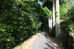 中山道（妻籠宿ー三留野宿）