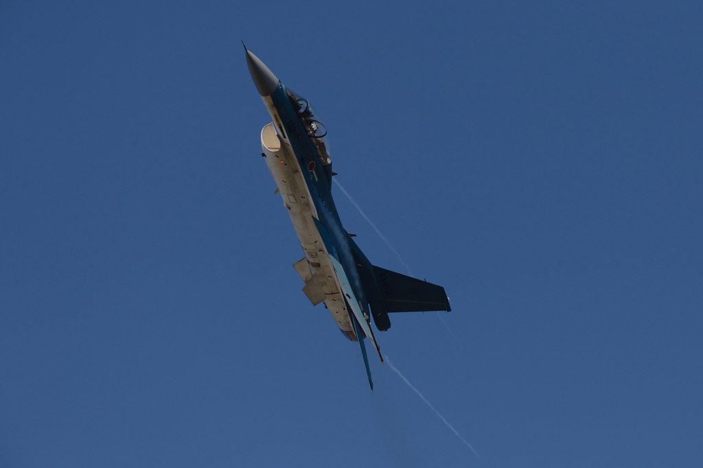 岐阜基地航空祭2015　F-2
