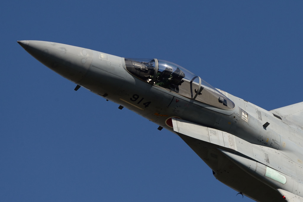 岐阜基地航空祭2016　F-15