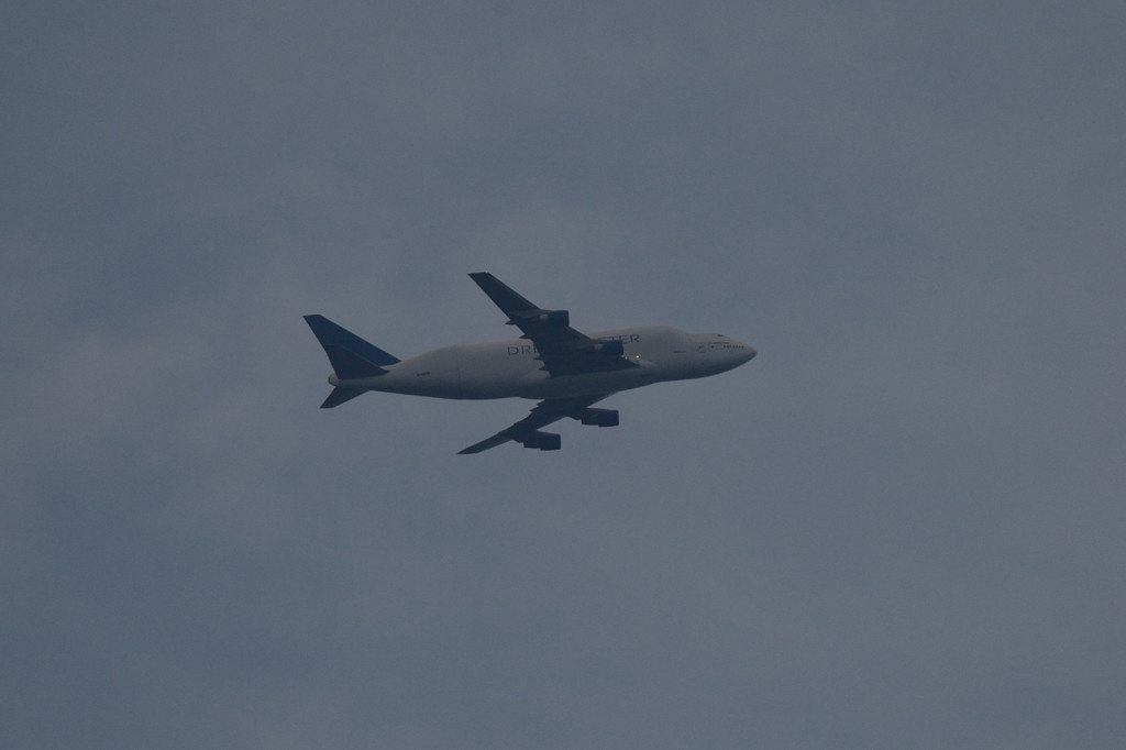 DSC_2334
