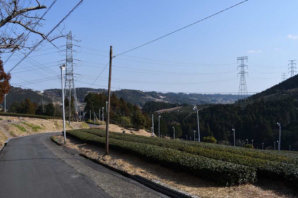 小夜の中山　東側の下り