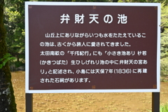 中山道（細久手宿ー大湫宿）