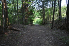 中山道（大湫宿ー大井宿）