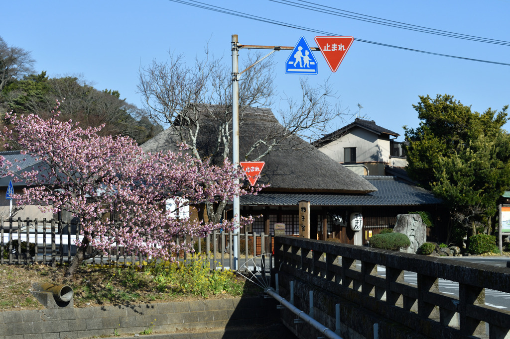 鞠子宿　西の端