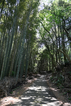 中山道（御嶽宿ー細久手宿）