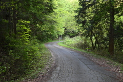 中山道（大湫宿ー大井宿）