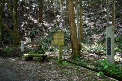 中山道（御嶽宿ー細久手宿）