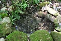中山道（御嶽宿ー細久手宿）