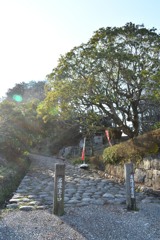金谷坂　東の端
