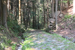 中山道（大湫宿ー大井宿）