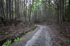 中山道（大湫宿ー大井宿）