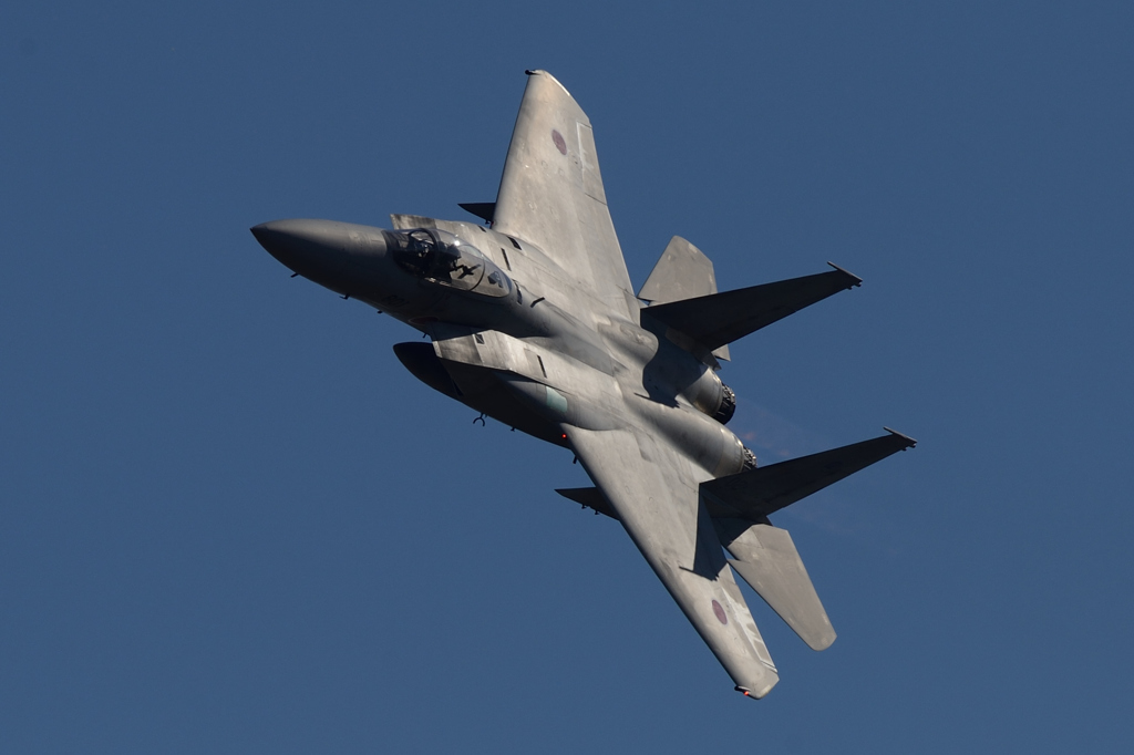 岐阜基地航空祭2015　F-15