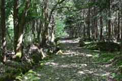 中山道（細久手宿ー大湫宿）