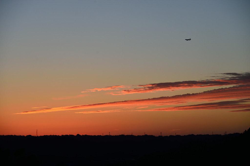 DSC_1854_01