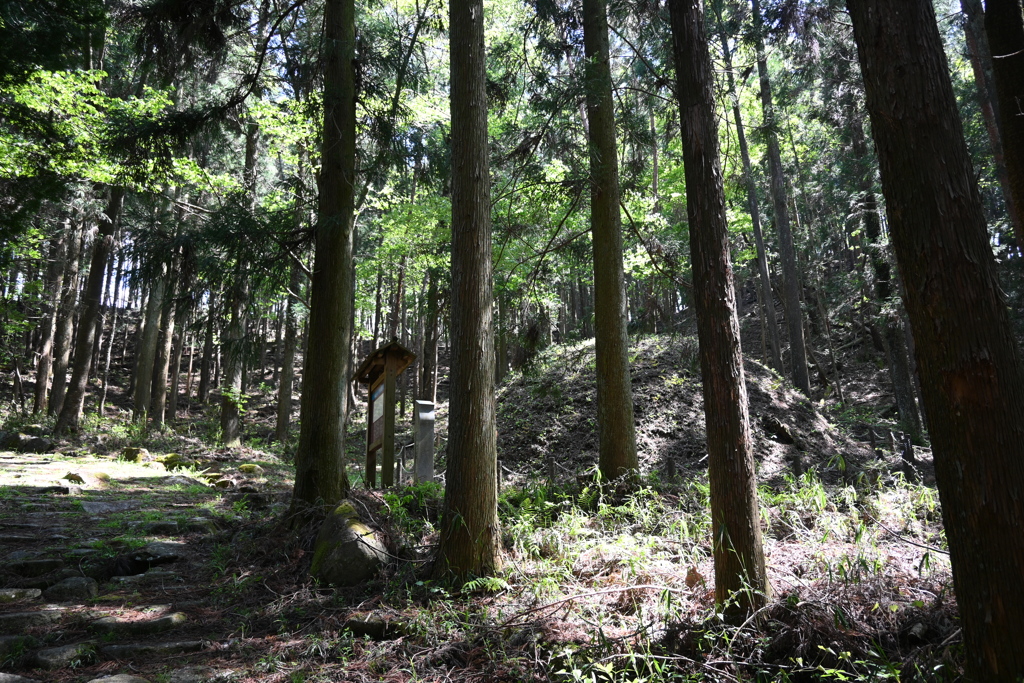 中山道（細久手宿ー大湫宿）