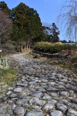 菊川坂