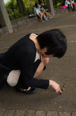 どんぐり