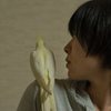 _IGP8109_out