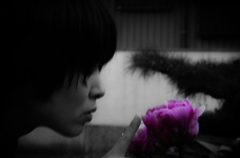 花の色