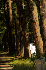 木の精