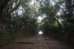 神社参道にて
