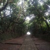 神社参道にて
