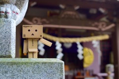 ダンボーの旅