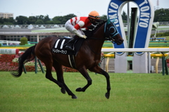 東京競馬場
