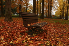 秋のソファー