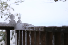 雪よ降ってくれ