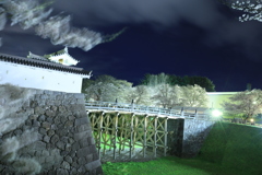 夜桜と城