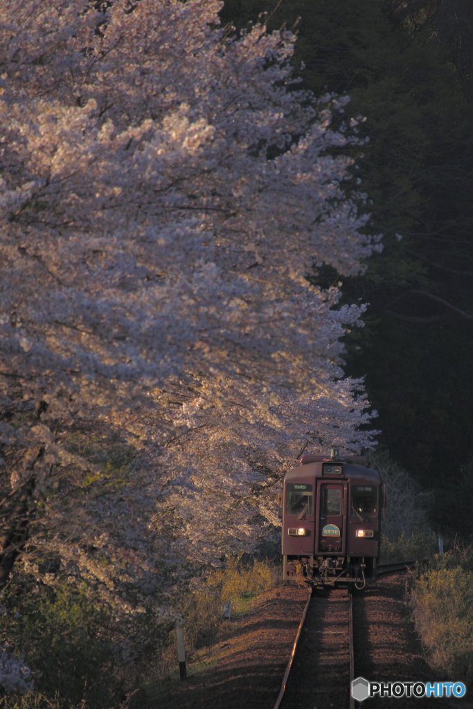 夕暮れ時の寂しさに