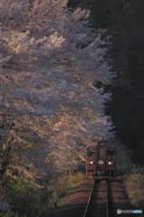 夕暮れ時の寂しさに