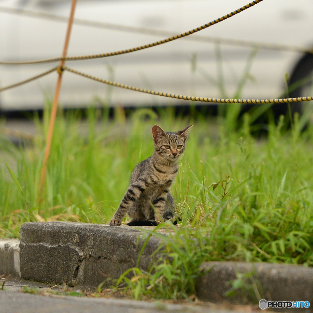 変なポーズ