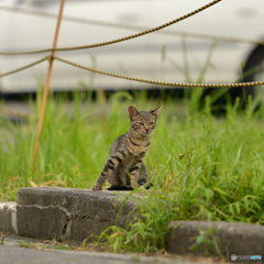 変なポーズ